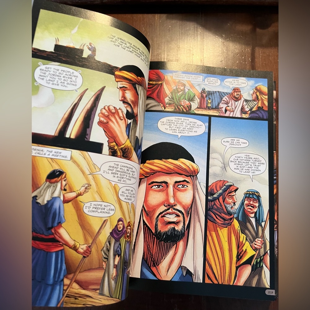 The Action Bible – Graphic Novel Bible- hardcover - Picture 4 of 5